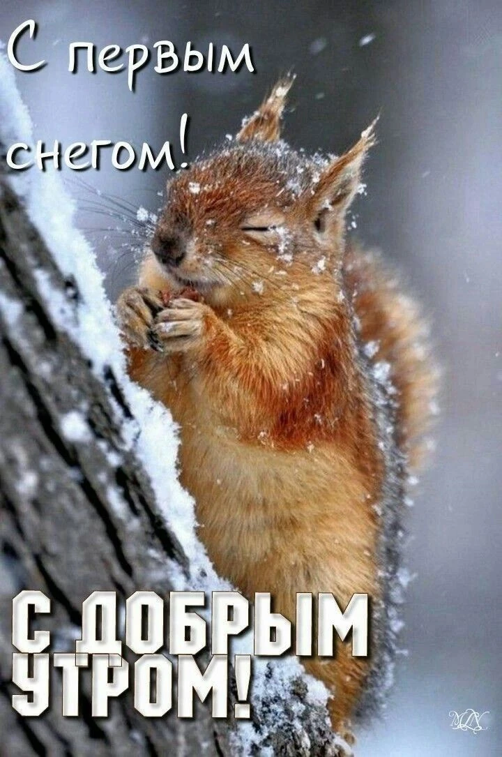Доброе утро, Чебулинский округ! ☀️