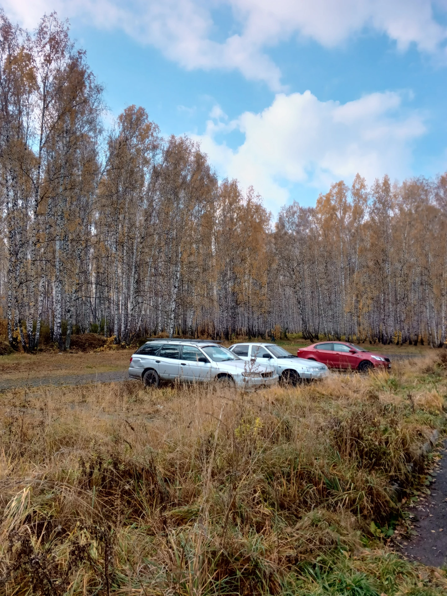 ▶️Постоянно паркуются автомобили на особо охраняемой природной территории - в городском...