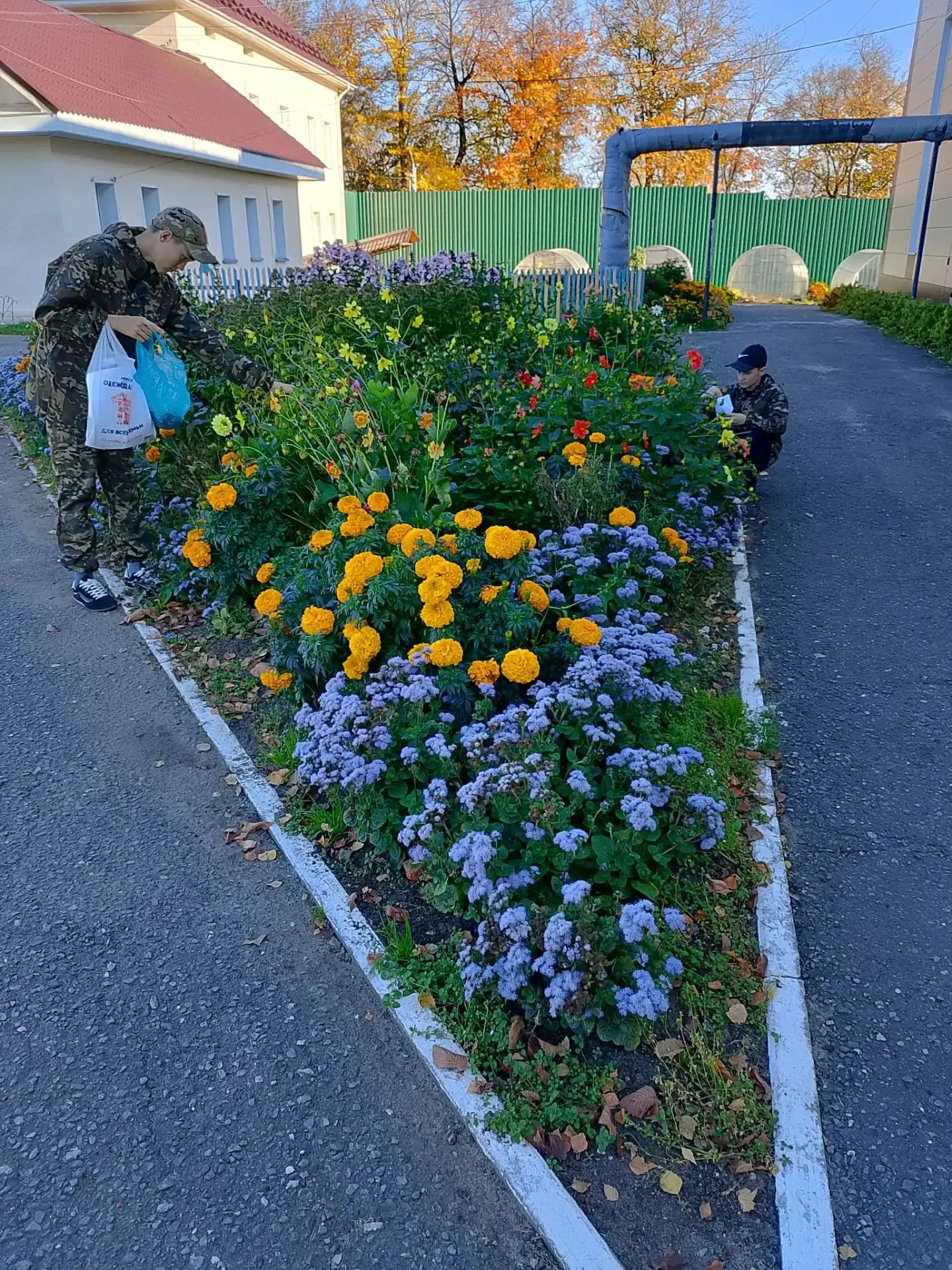 Собранные семена — маленькая победа воспитанников Орловского СУВУ 🌱