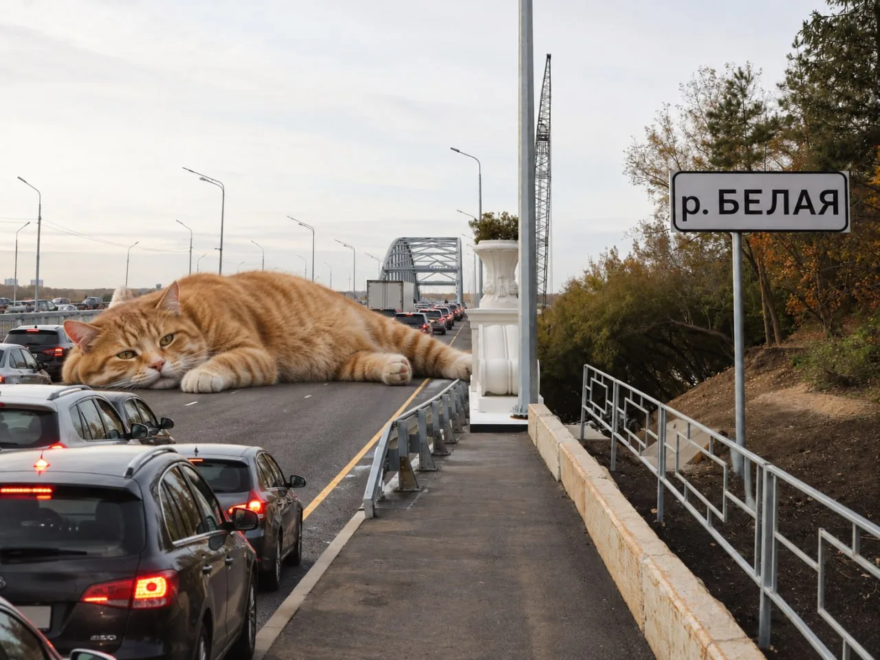 ⛔️ В Уфе из-за гигантского кота дорожных работ частично перекроют арочный мост через ре...