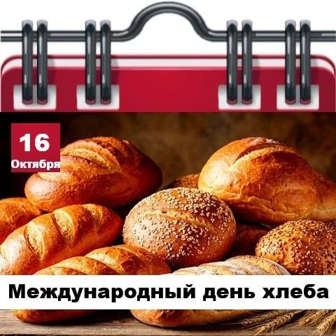 🗓 Сегодня 16 октября 2026 года, пятница – отмечается 16 праздников.