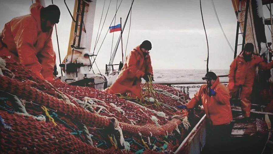 🐟 Рейтинг камчатских рыбопромышленников по вылову лососёвых