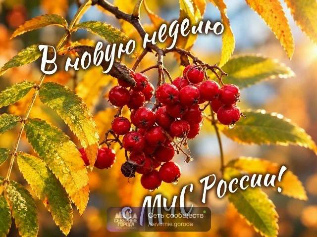 🍁 Спокойной и удачной недели! Пусть октябрь дарит только хорошие моменты, а осторожнос...