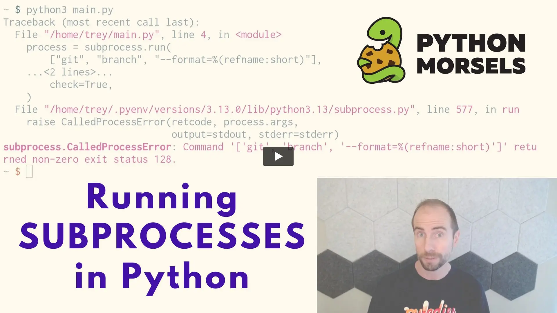 Запуск Git из Python: вывод команды и проверка ошибок