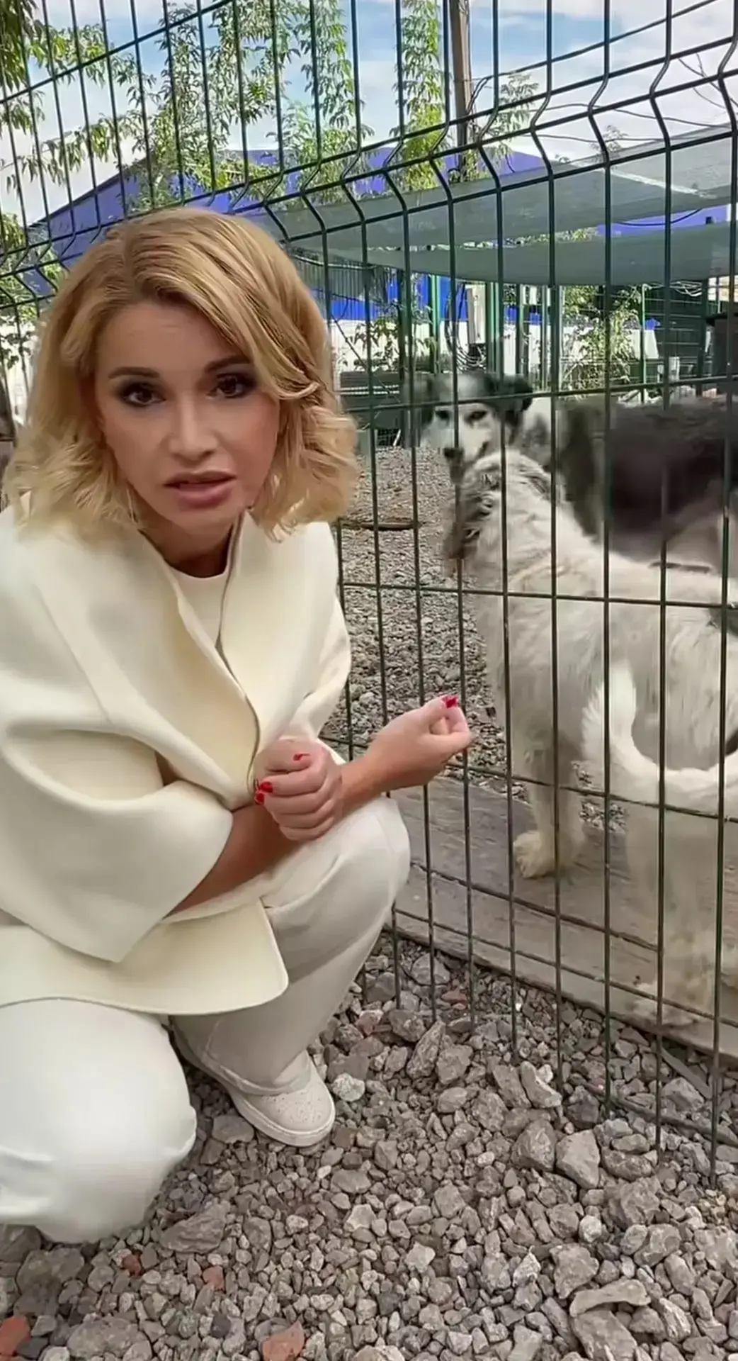 🙏🏼Ольга Орлова взяла под опеку пса Боя из Барнаула