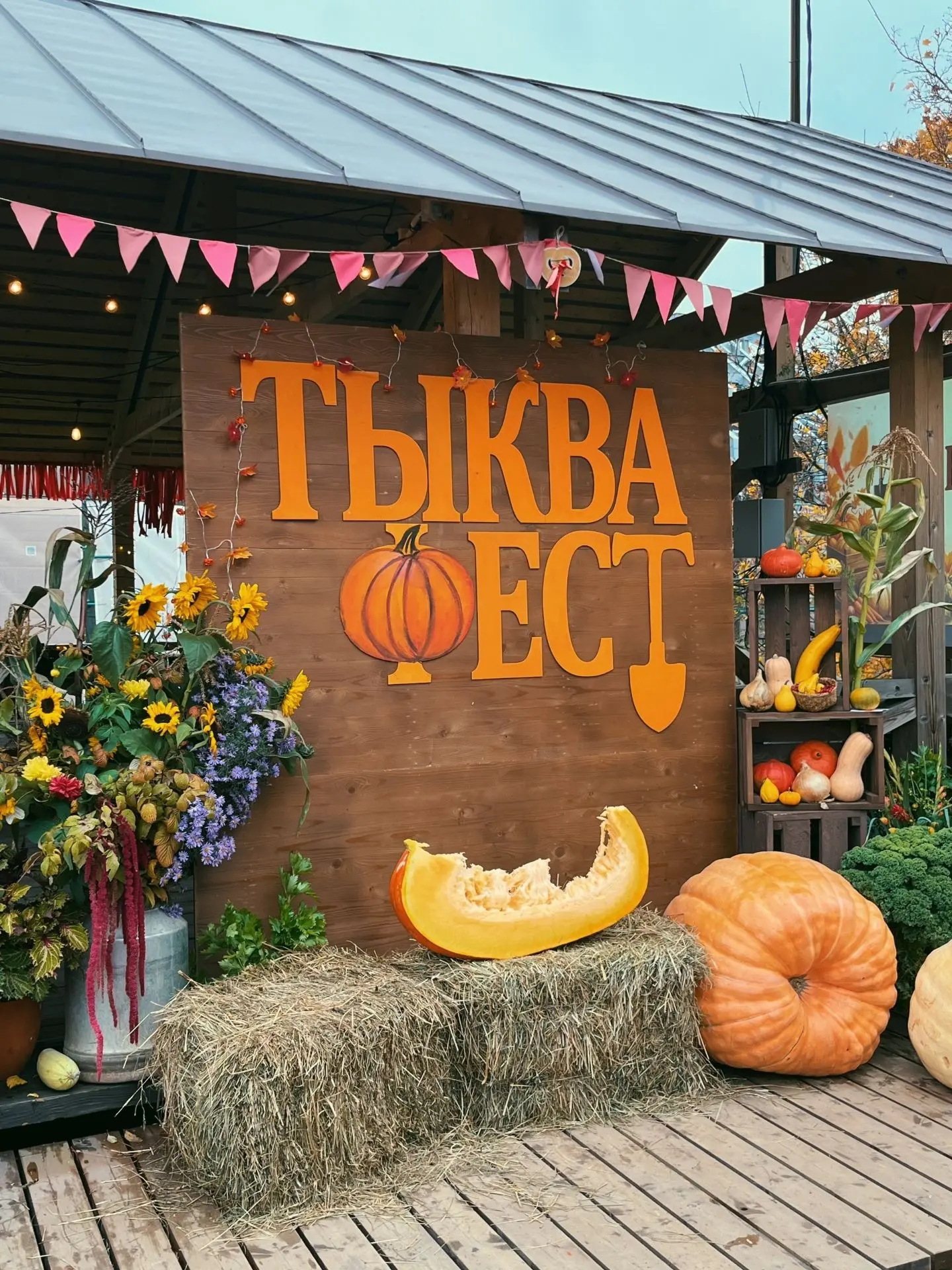 В Выборге сегодня проходит «ТыкваФест»!