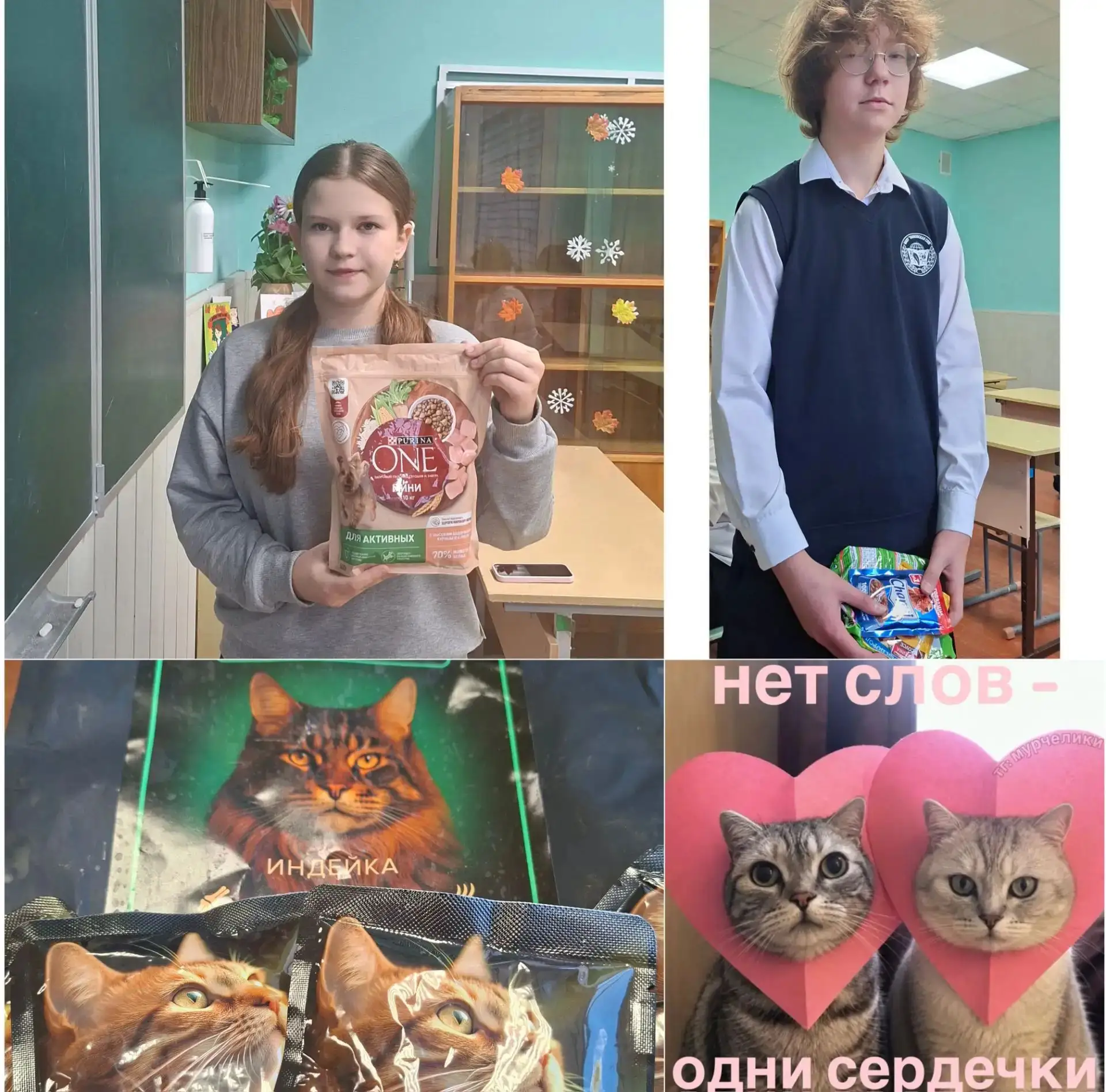 В начале октября, когда во всем мире отмечается День защиты животных, в нашей школе про...