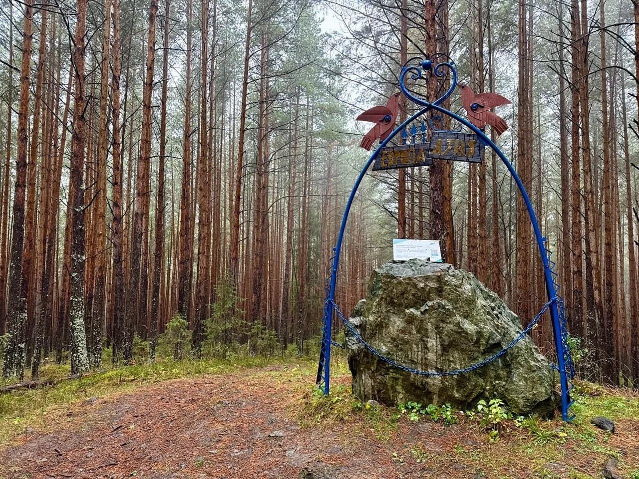 Погода в Ревде: дождь и туман