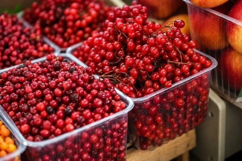 🍒 На московских ярмарках стартовал сезон калины