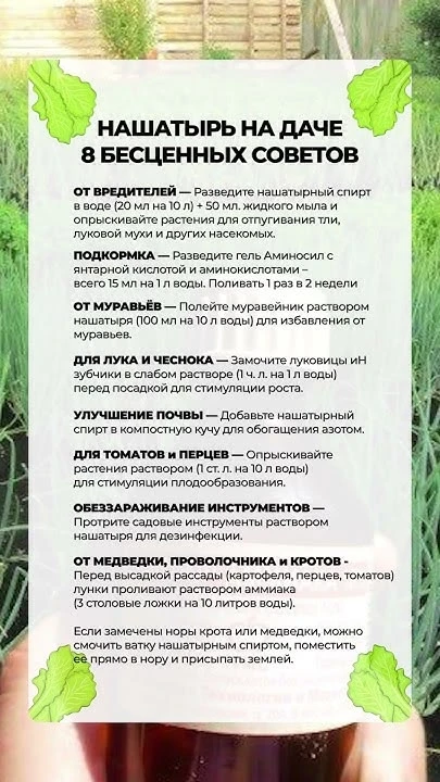 Нашатырный спирт на даче ✅