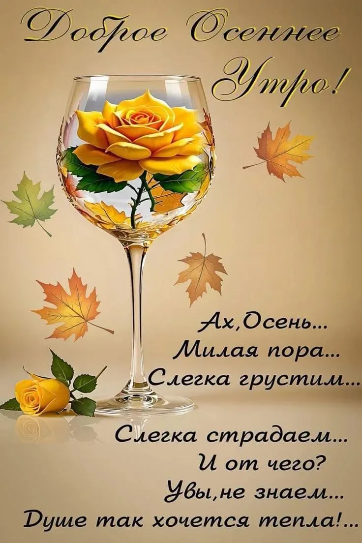 😍 Лучшие ОТКРЫТКИ и Классные ВИДЕО