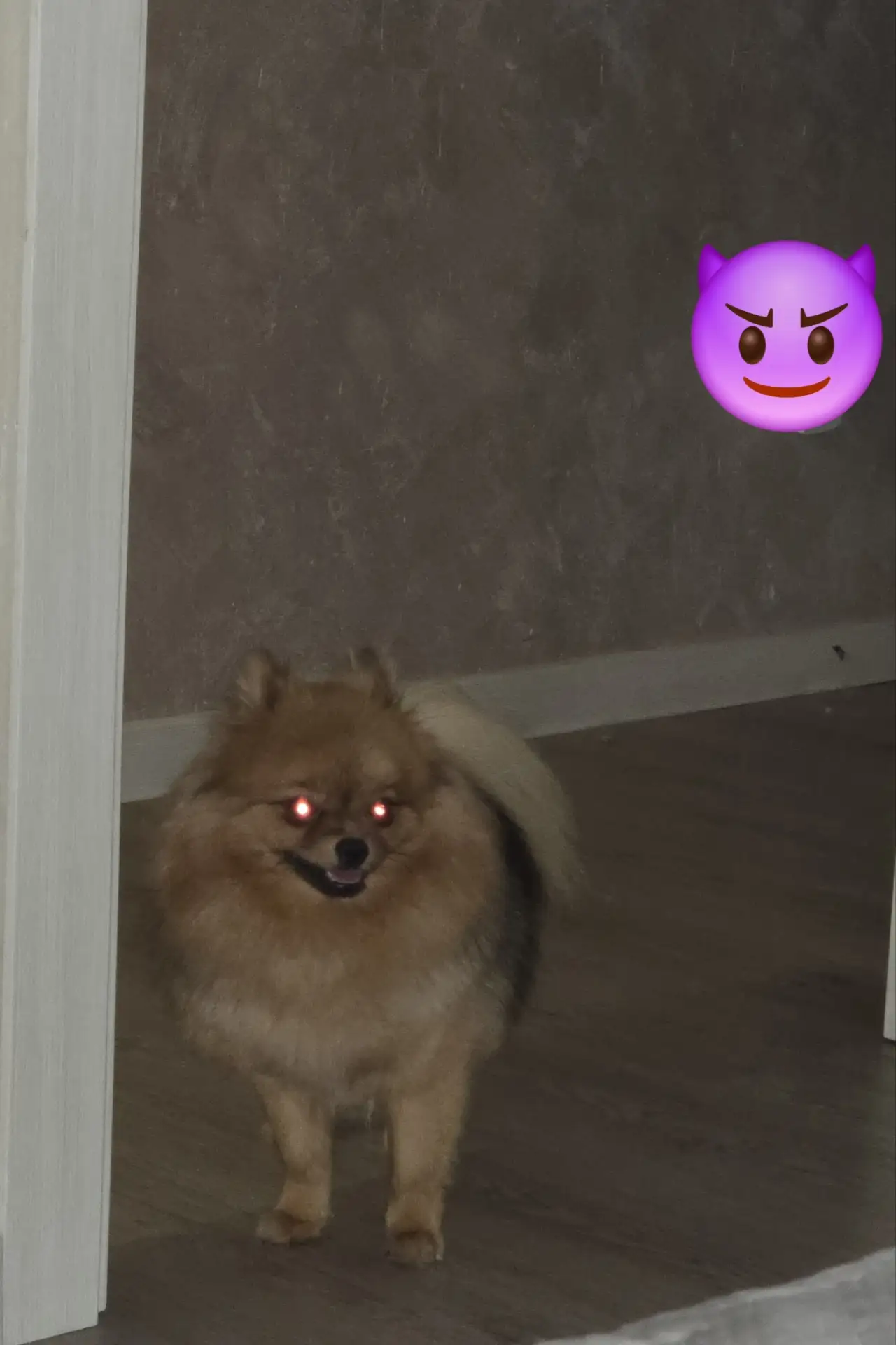 Дратути 👹