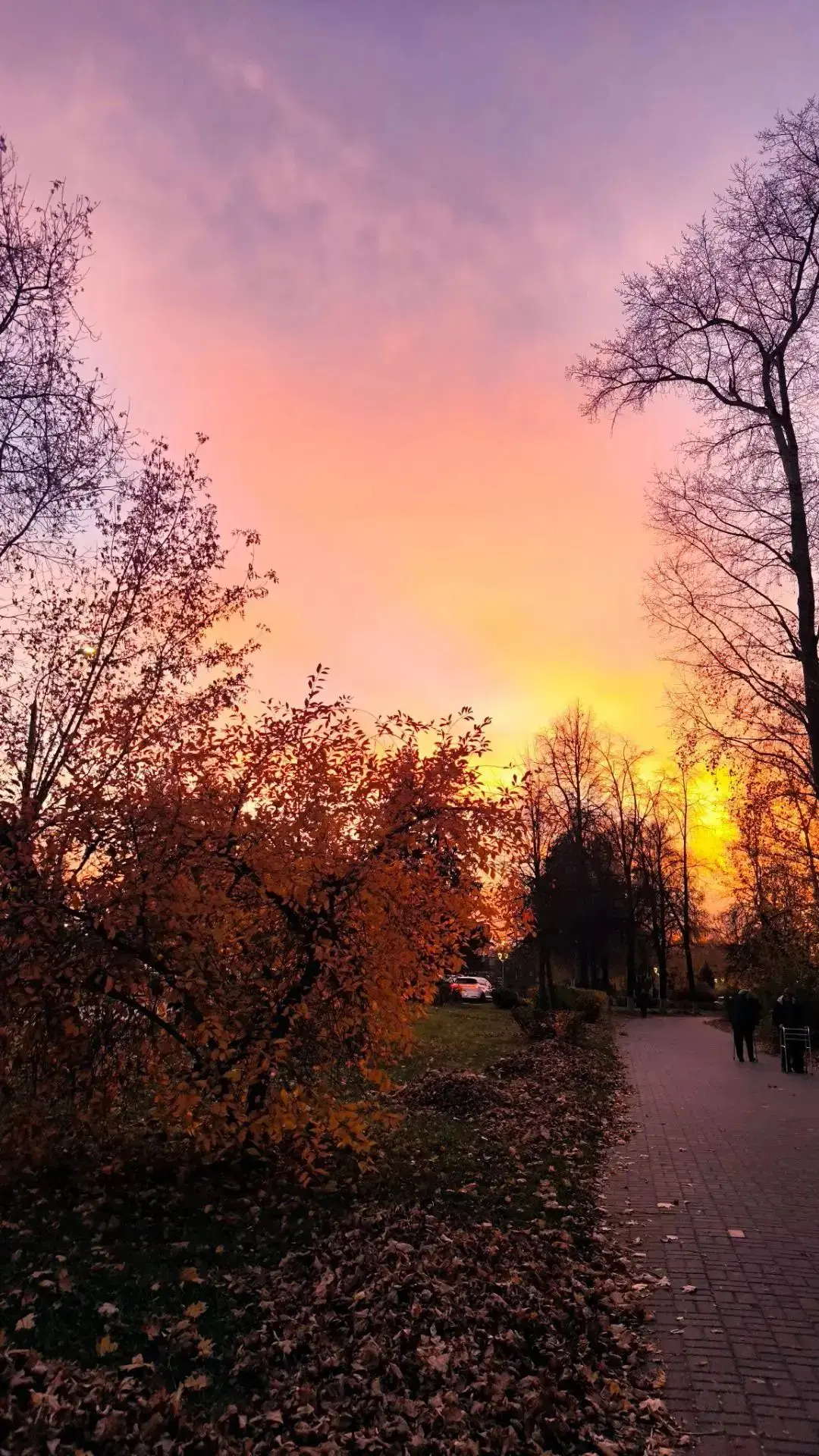 Розовый закат теплого октябрьского дня 🍂