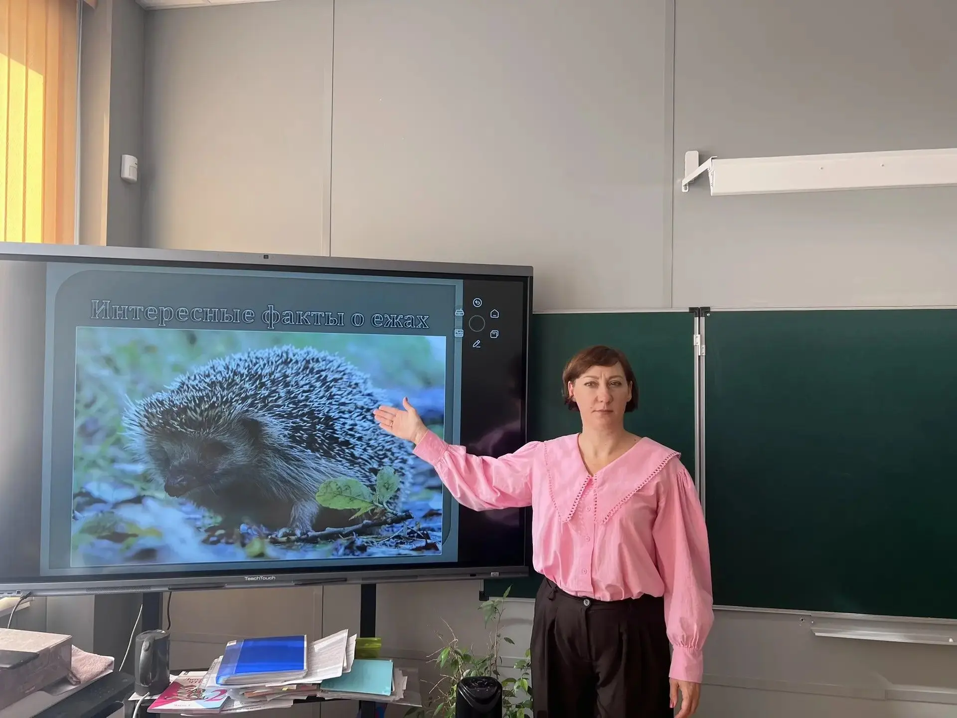 🦔🦔🦔На занятиях в объединении «Я познаю мир» ребята