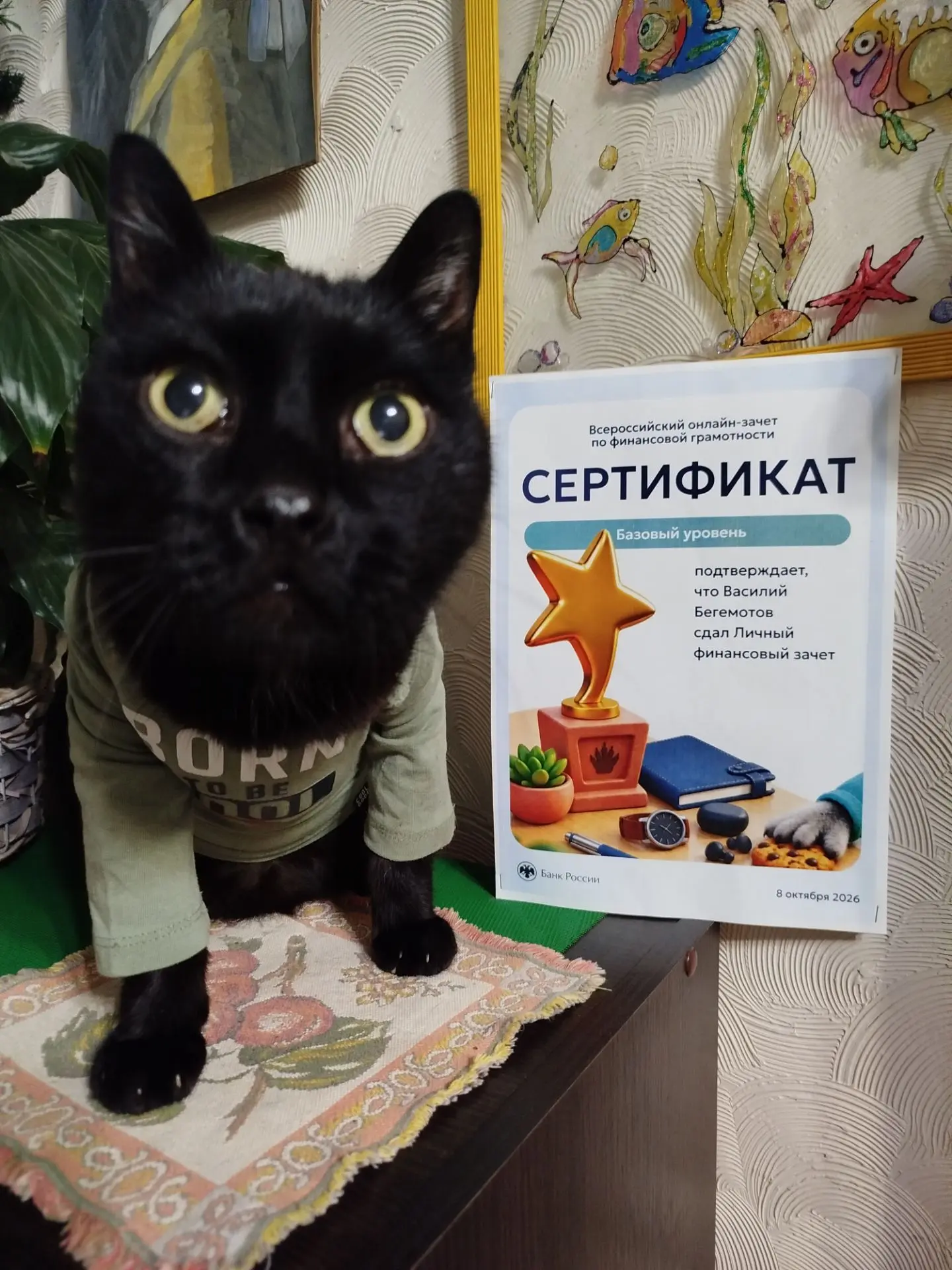Лапки не мешают быть финансово грамотным 🐾👣🍁 Котобосс Василий Бегемотов свои слова п...