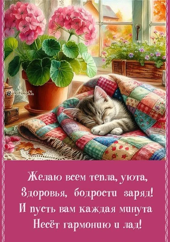 Открытки