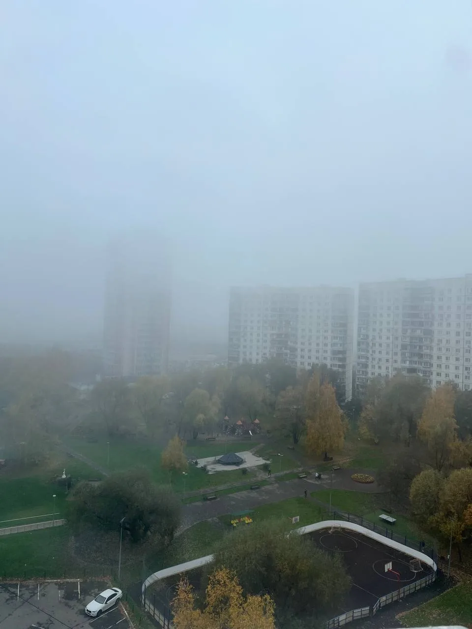 Все кругом буквально погрузилось в туман.