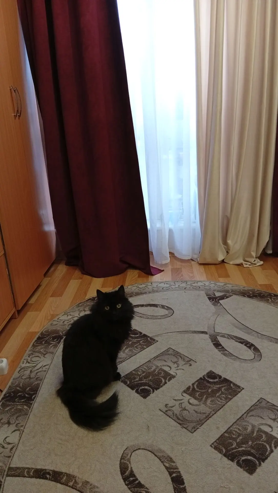 Доможданцы)))