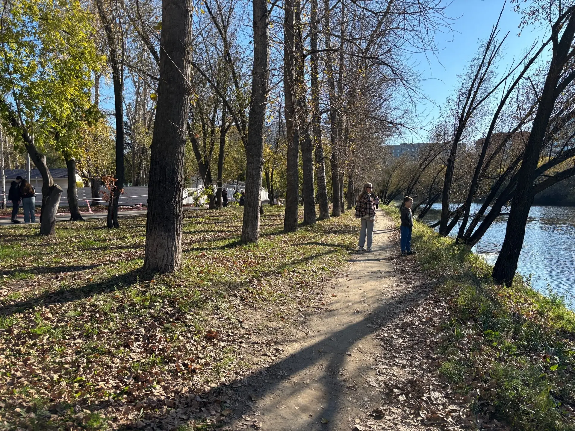 🌤Какую погоду ждать курганцам во второй половине октября: прогноз