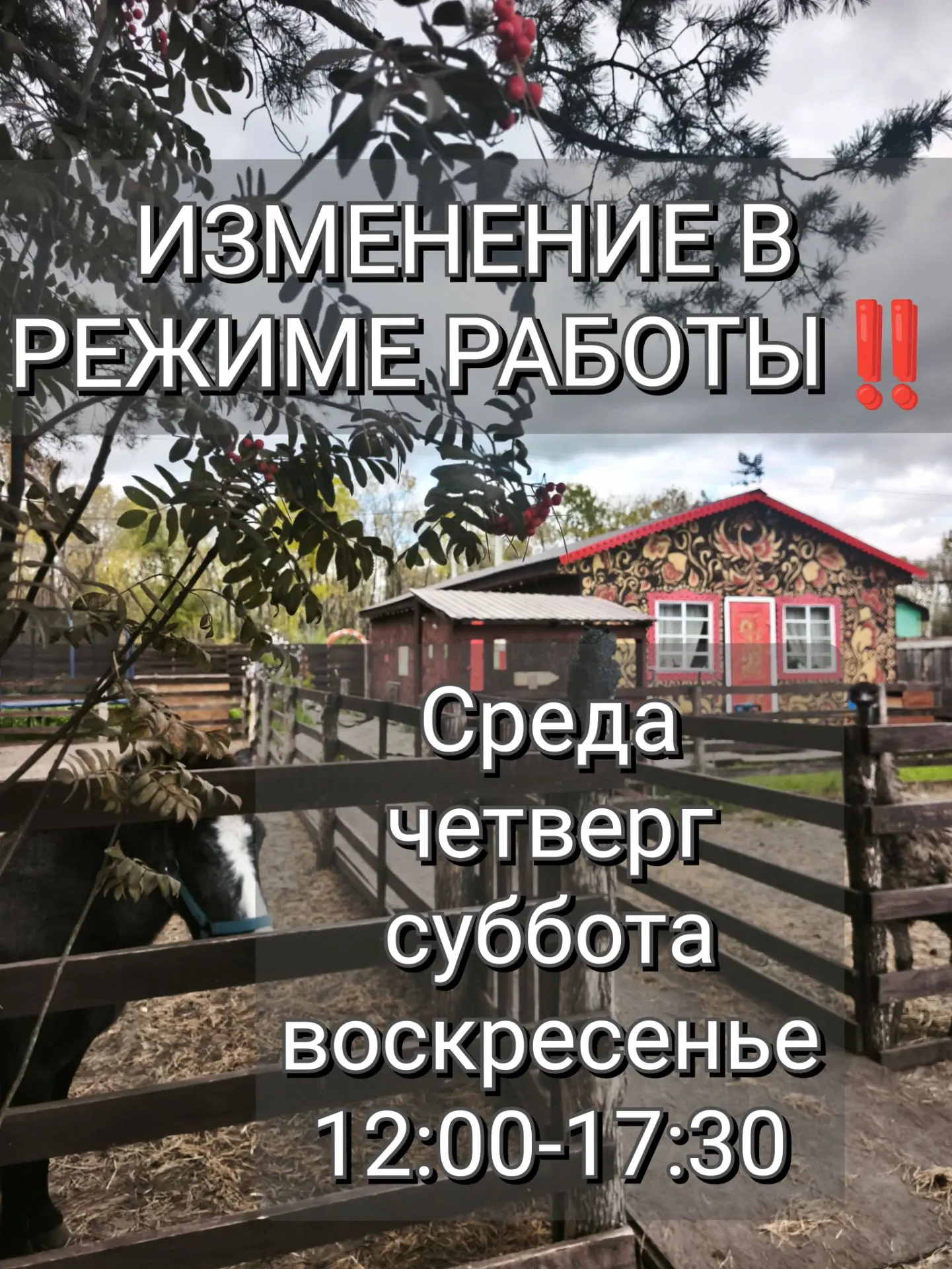 Внимание! Зимний график работы усадьбы «Лесная сказка»🌲