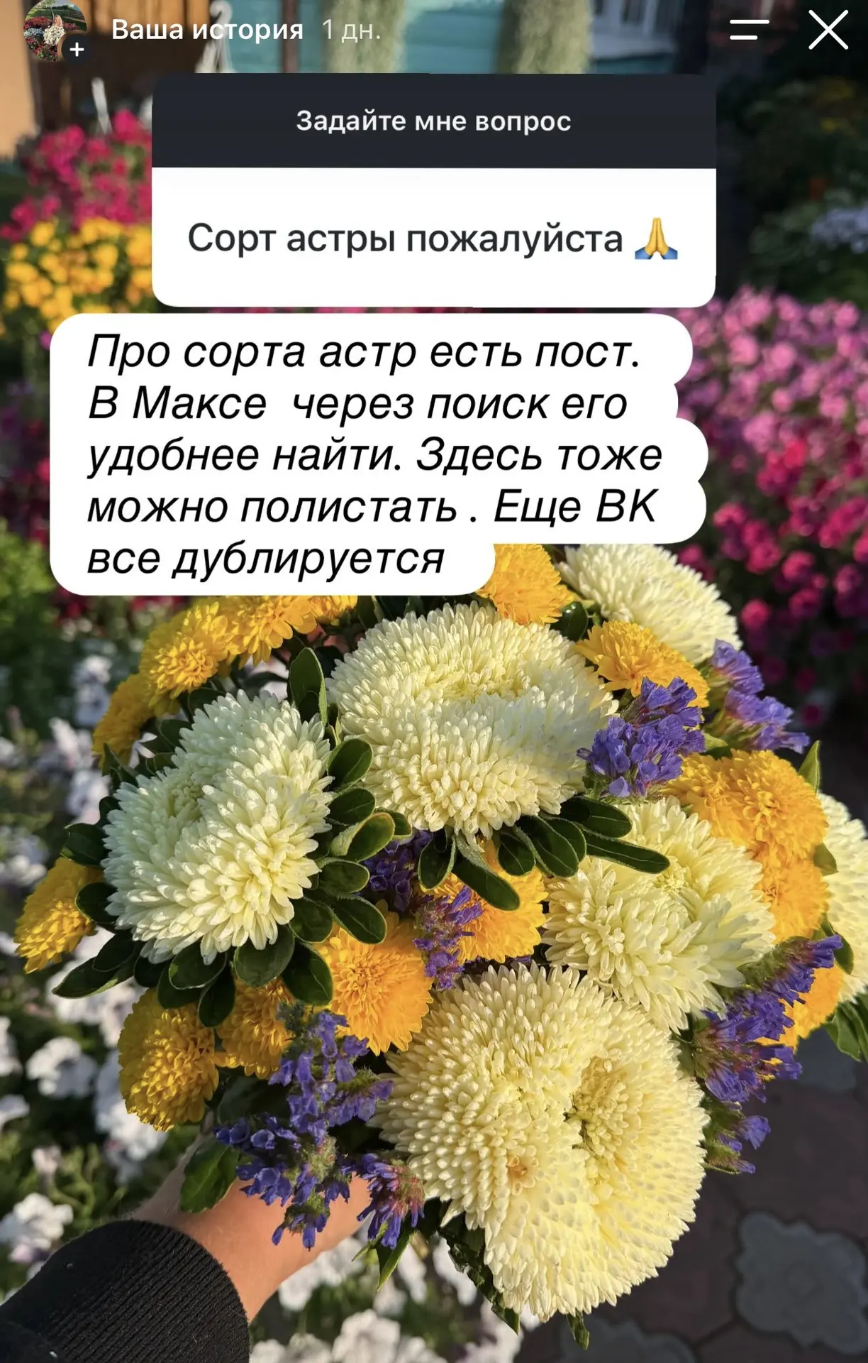 Вопросы нашей аудитории примерно такие. На все ответить не успела .