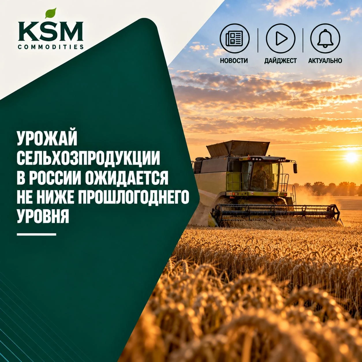 📊 Урожай сельхозпродукции в России ожидается не ниже прошлогоднего уровня