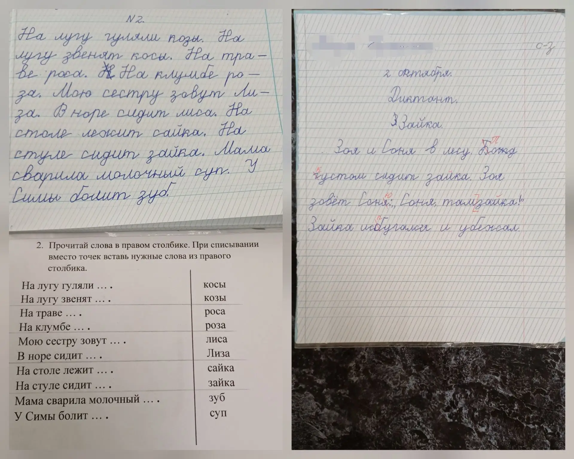 Дисграфия — специфическое нарушение процесса письма, проявляющееся в стойких и повторяю...