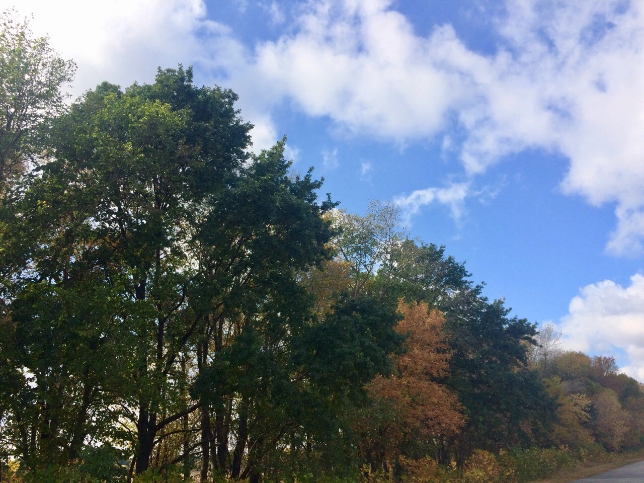 Красивая осень в Белгородской области 🍂