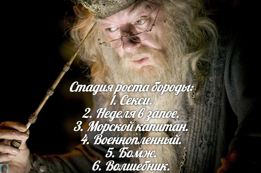 За Ежей в тумане    https://max.ru/public217562846