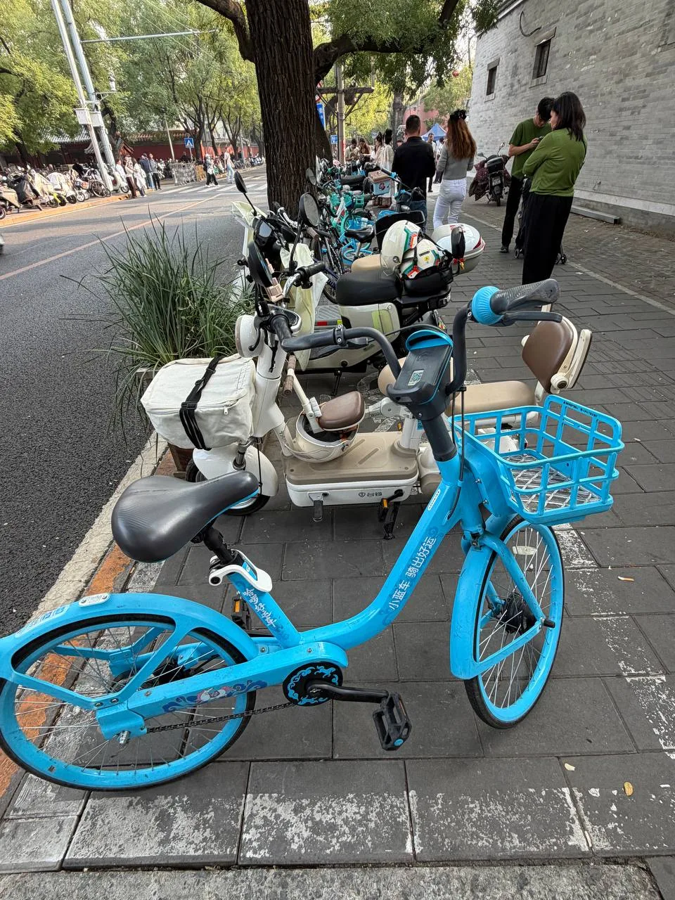 Хотели покататься на велосипеде 🚴, но по моему лицу на 3 фото видно, что идея провалилась