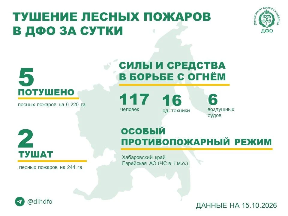 🧑‍🚒 За прошедшие сутки в регионах ДФО потушено 5 лесных пожаров, продолжается тушение...