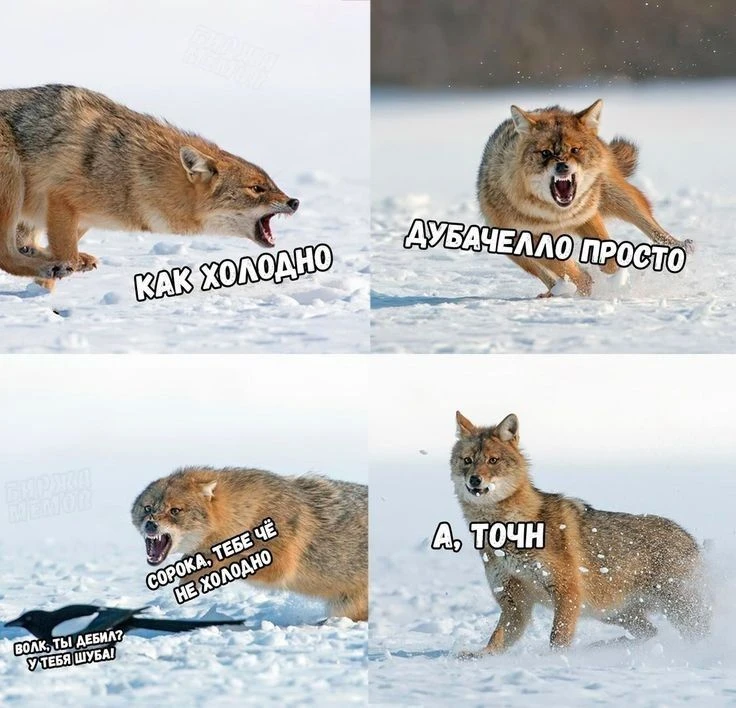 Фото
