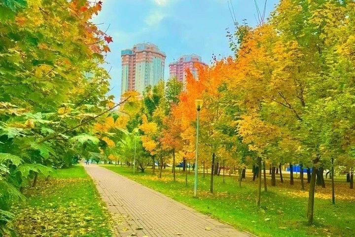 В Костроме 15 октября снова будет тепло ☀️