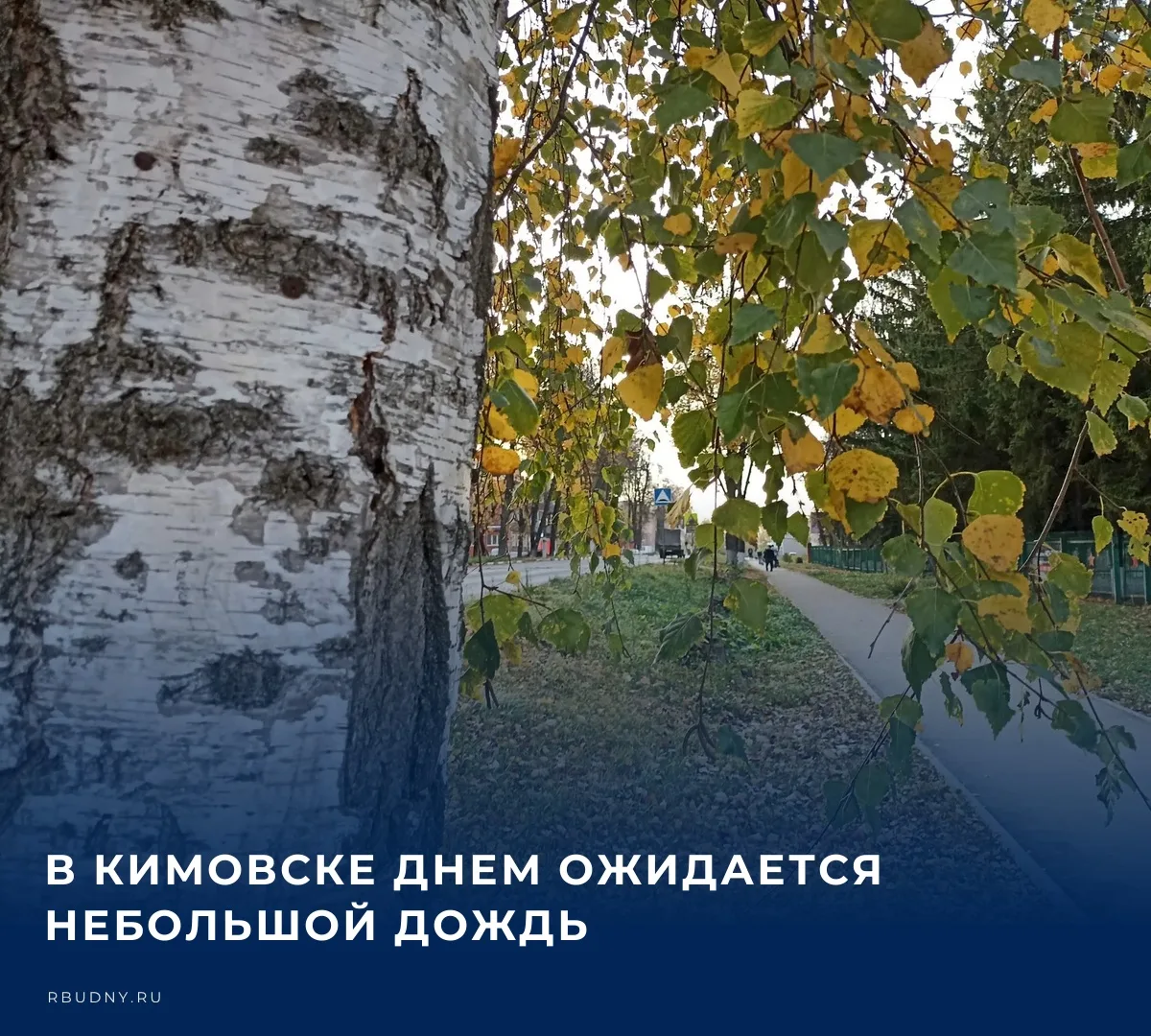 ☁️ По данным Гидрометцентра, сегодня в Тульской области в дневные часы ожидается неболь...