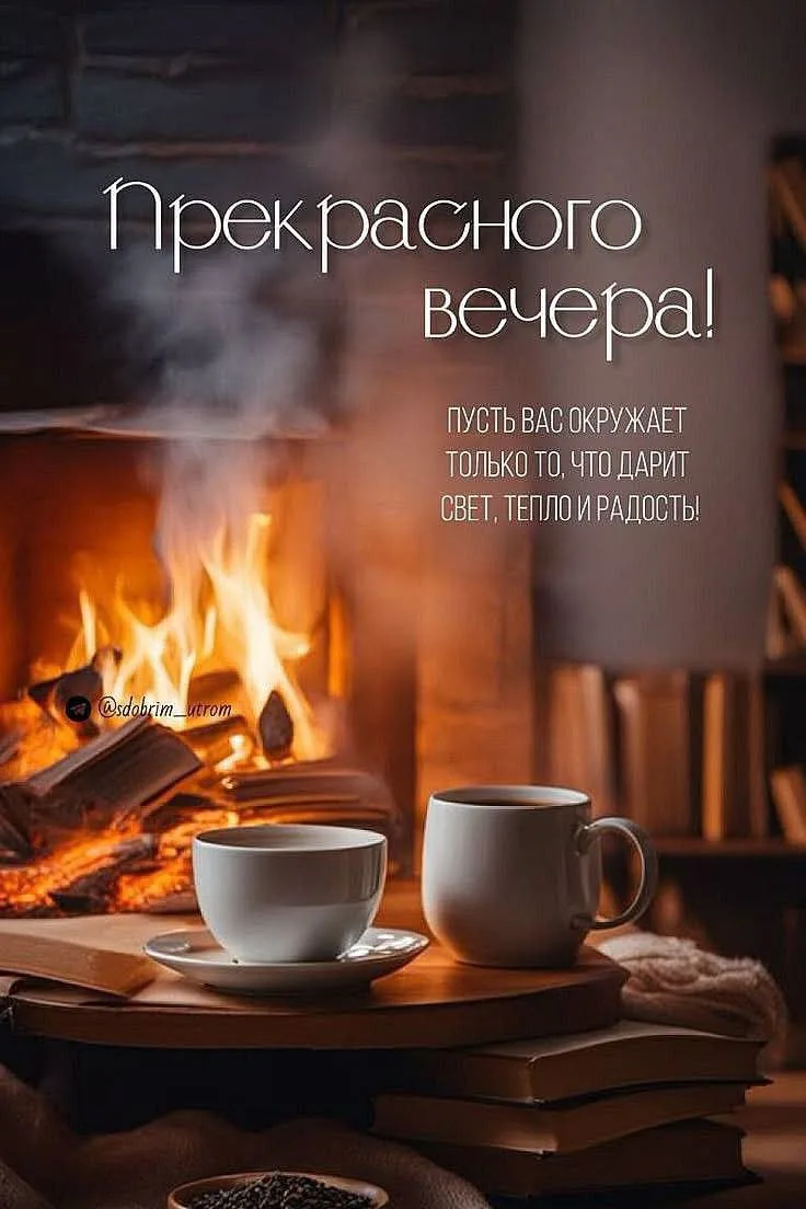 Добрый вечер! 🌙
