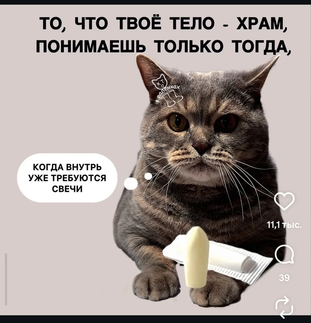 😹😹😹