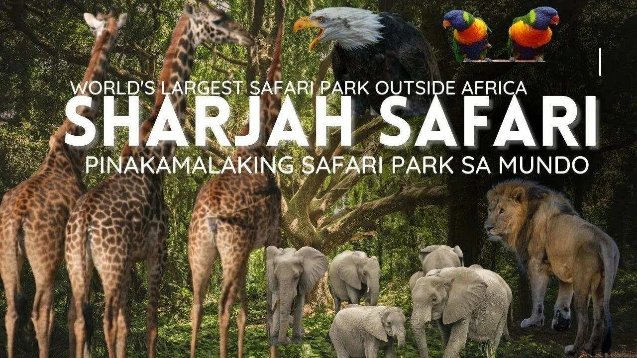 🦒 НАСТОЯЩАЯ АФРИКА ПОСРЕДИ АРАБСКИХ ЭМИРАТОВ! 🇦🇪