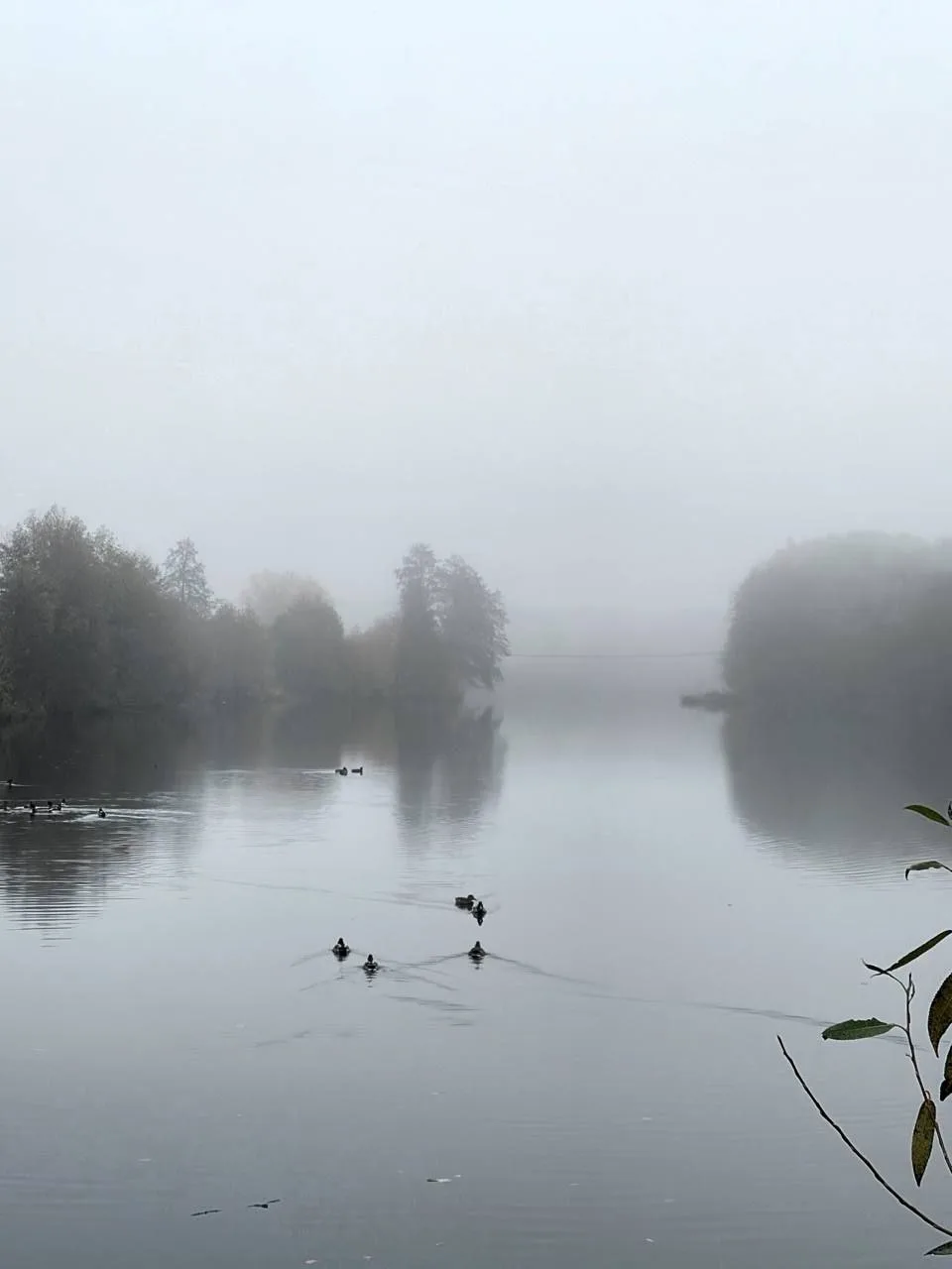 Утро в Егорьевске