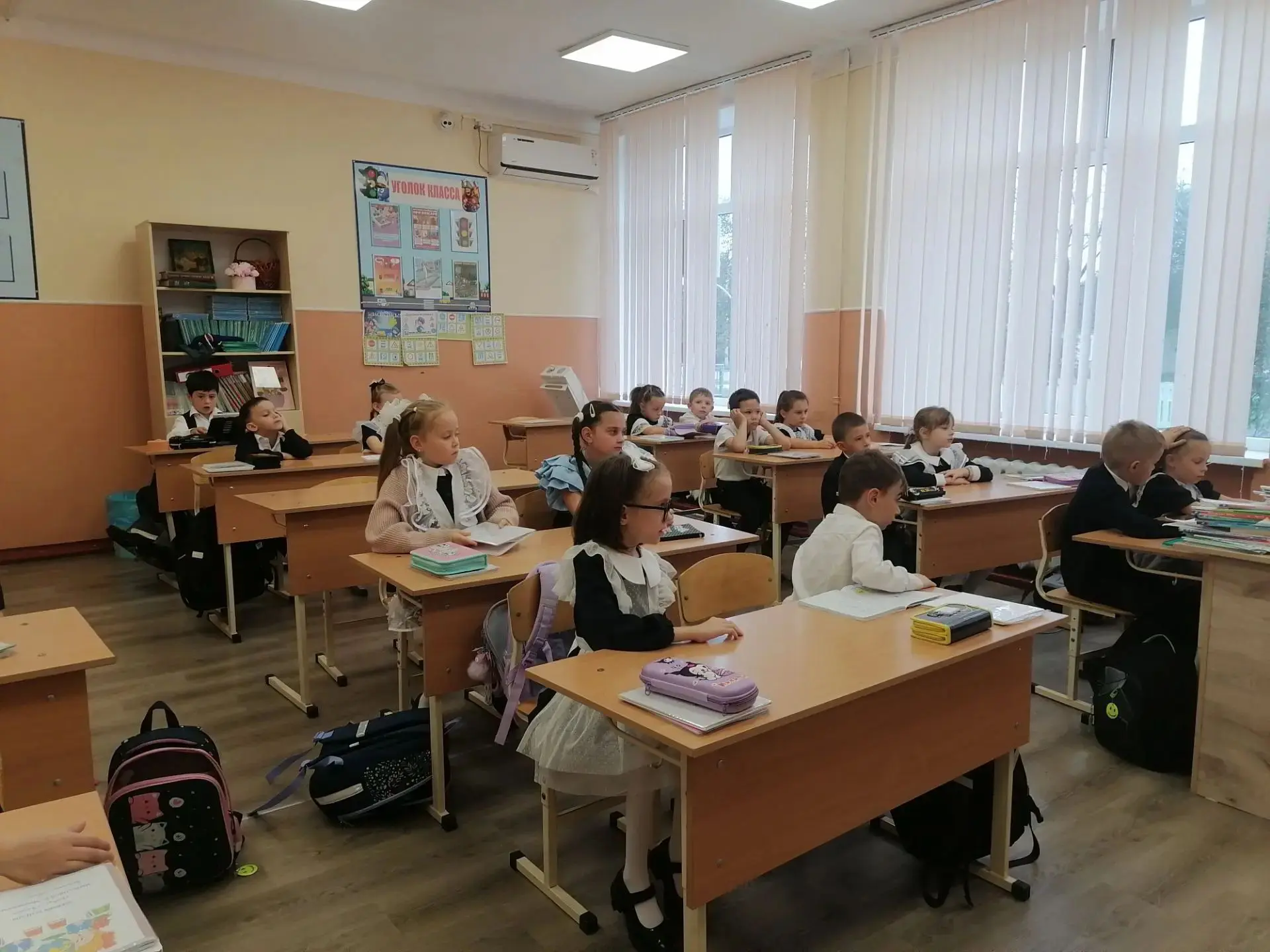 В рамках Всероссийского проекта "Разговоры о важном" в 1 В классе сегодня прошло заняти...