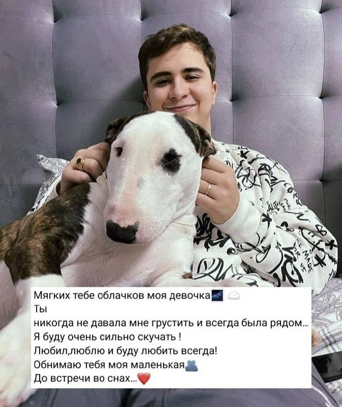 Ramil сообщил о смерти своей собаки: бультерьер Маня прожила 6 лет
