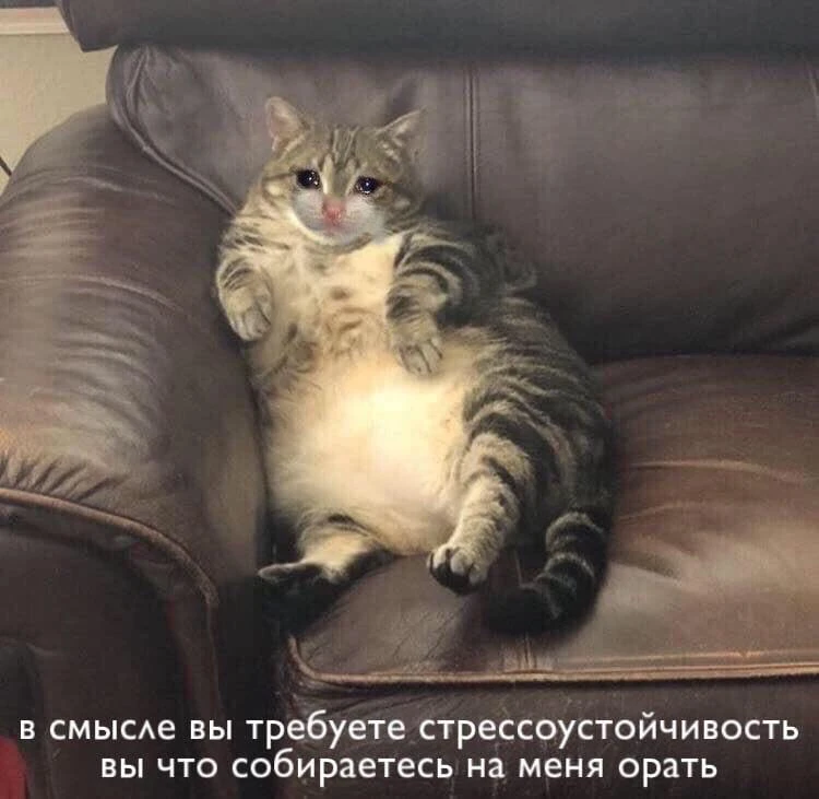 Мемы каждый день • Подписаться
