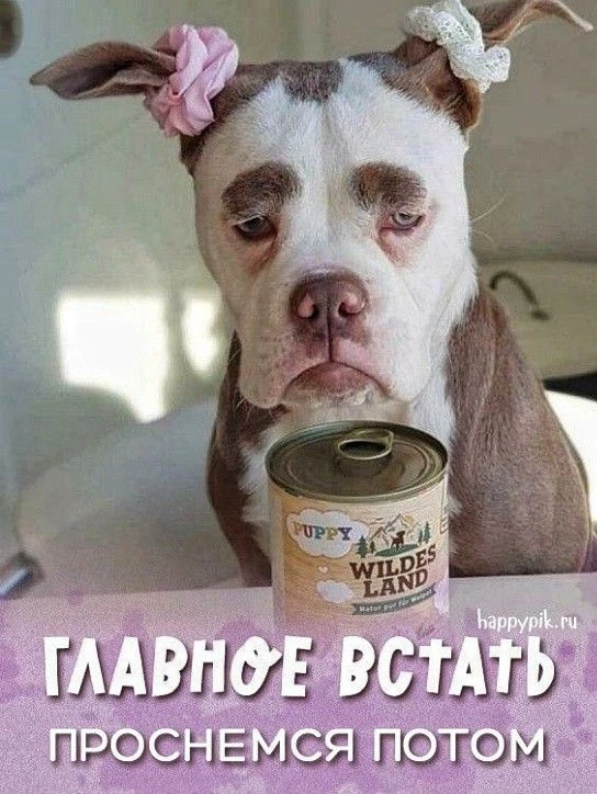 Эх 😩