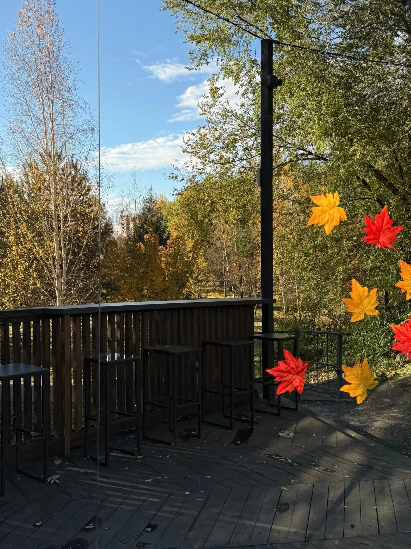 Классное зеркало нашли для ваших осенних фото 😉🍂