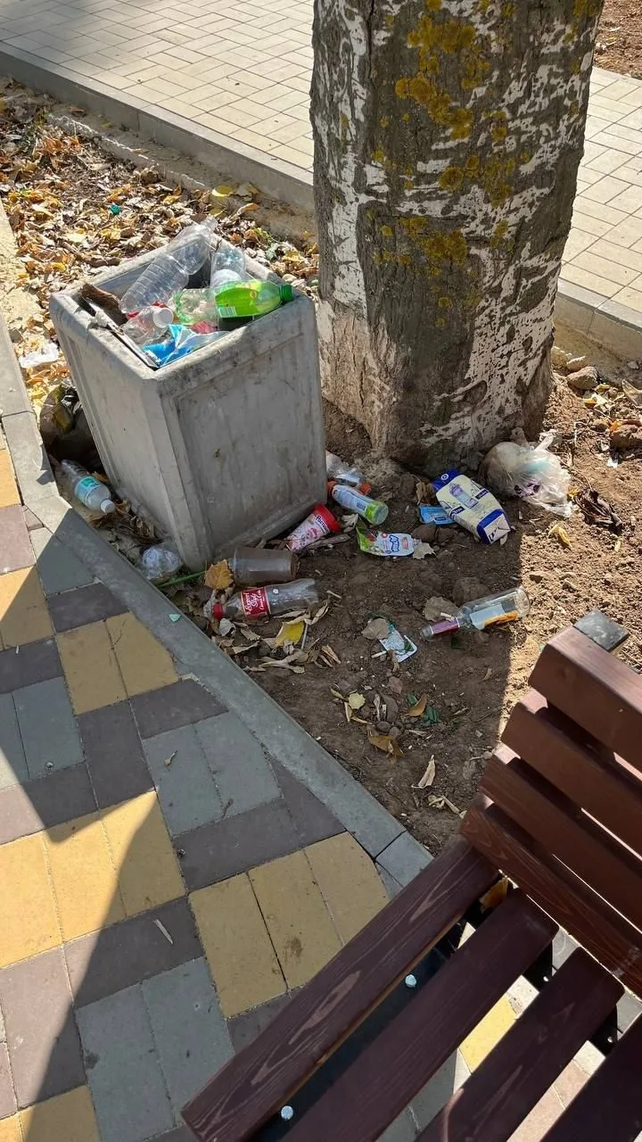 🗑 Культура есть, вывоза — нет: в сквере на Советской урны трещат по швам