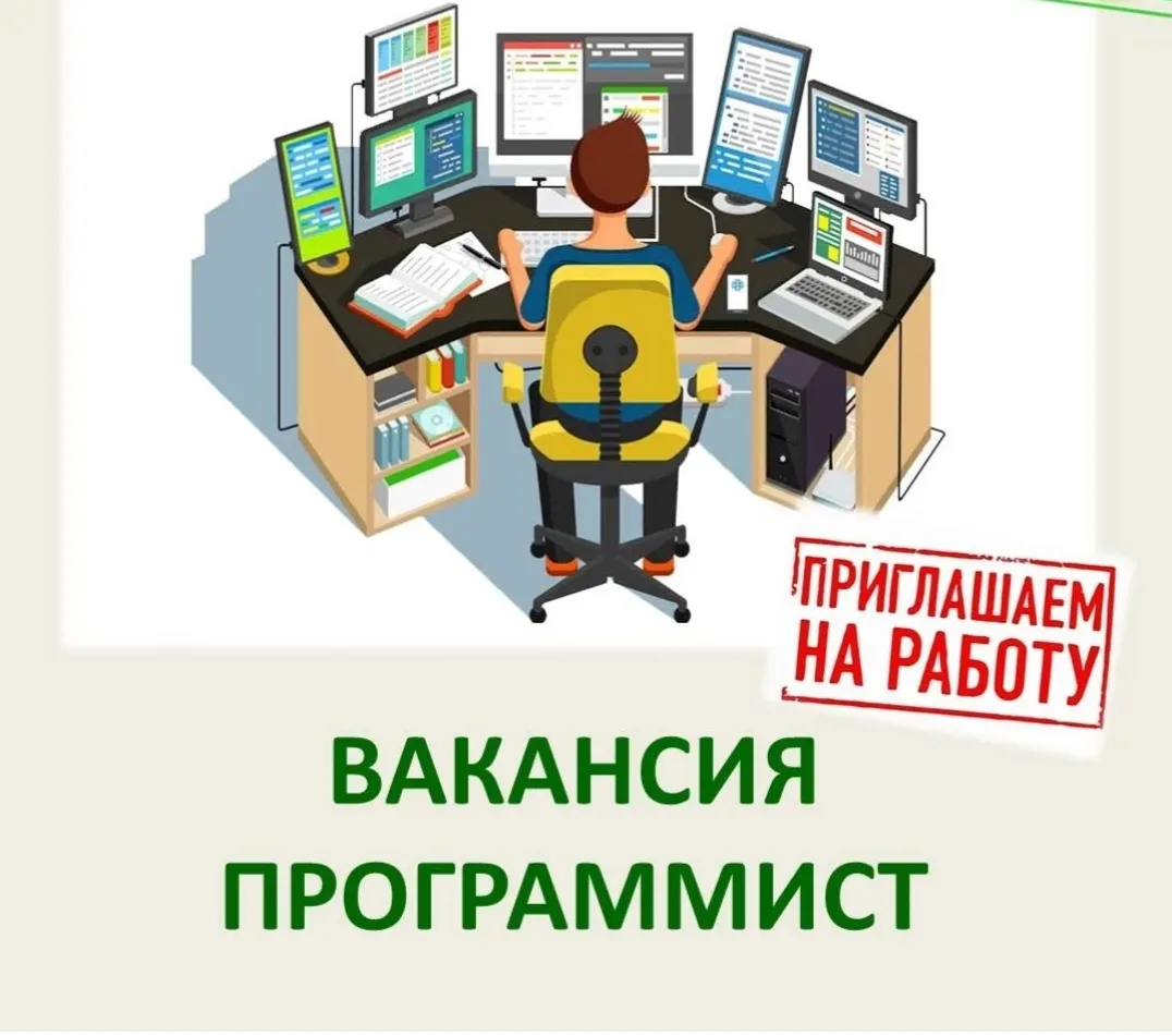 программист