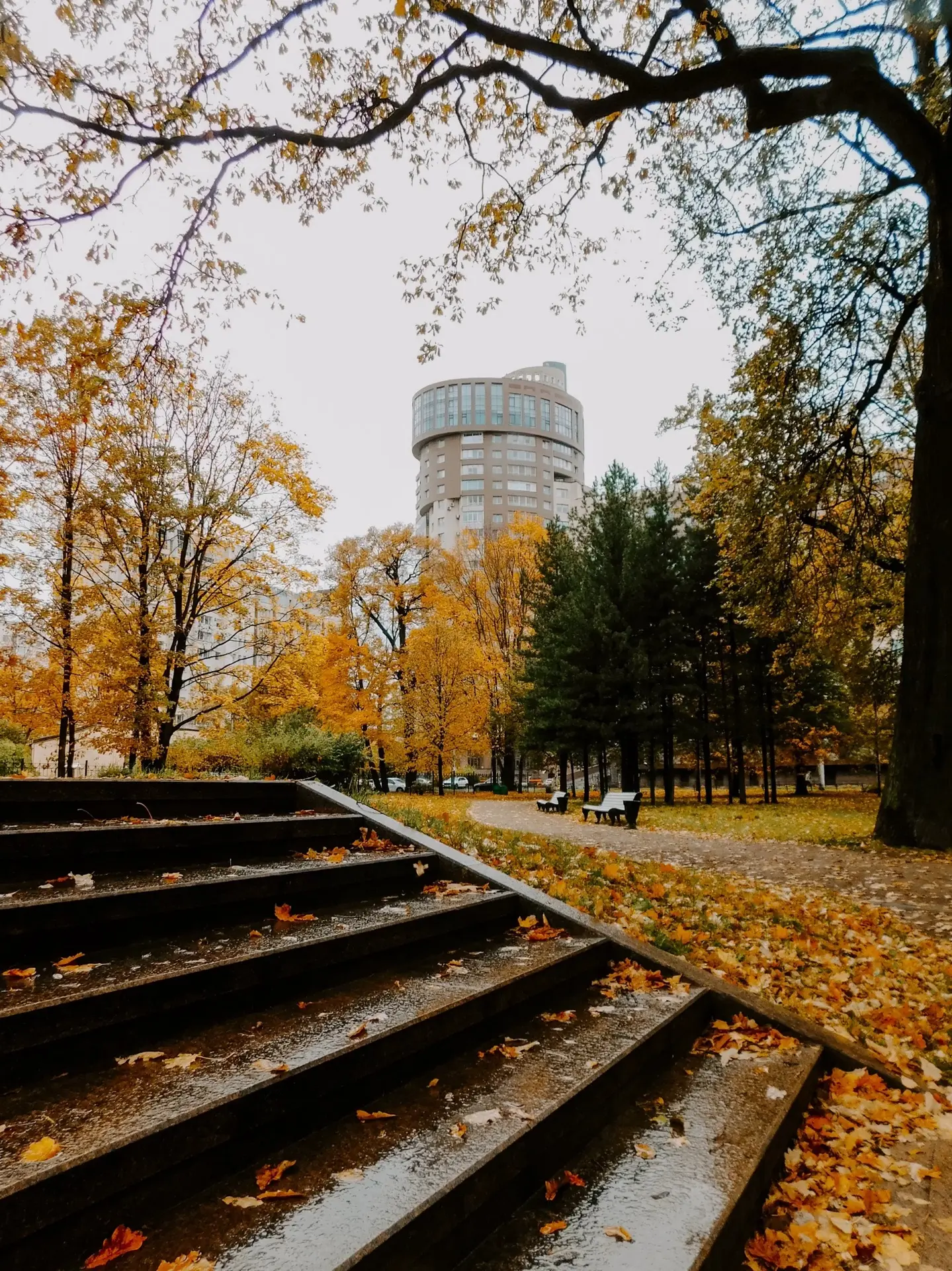 🍂 Октябрь в Приморском