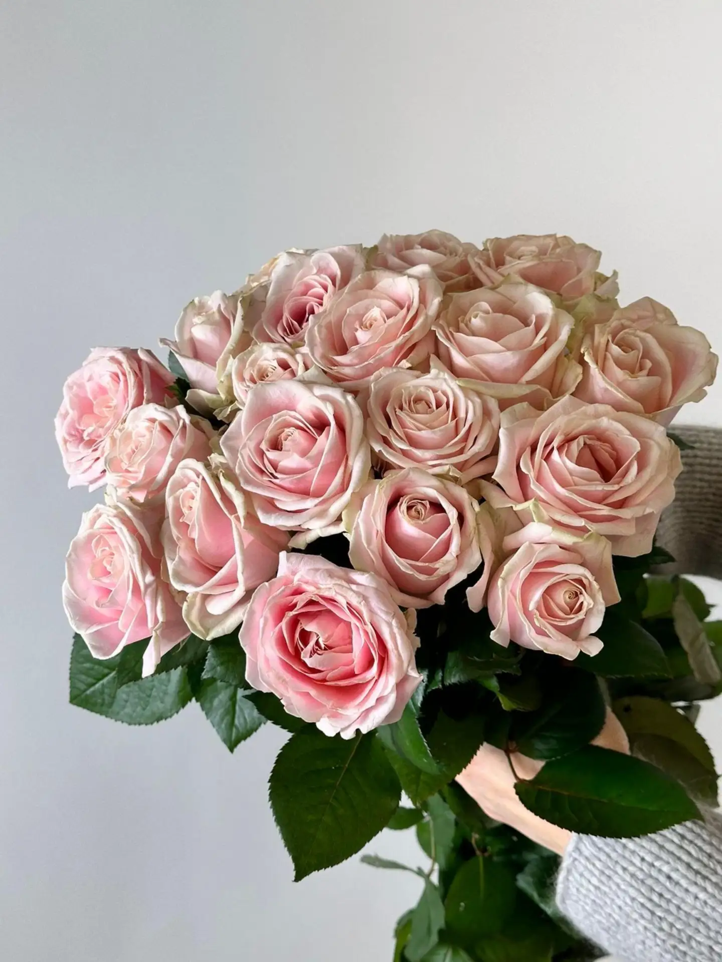 🌸 Свежее поступление