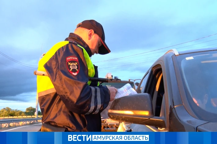 В Приамурье с начала года в ДТП на встречной полосе погиб 31 человек