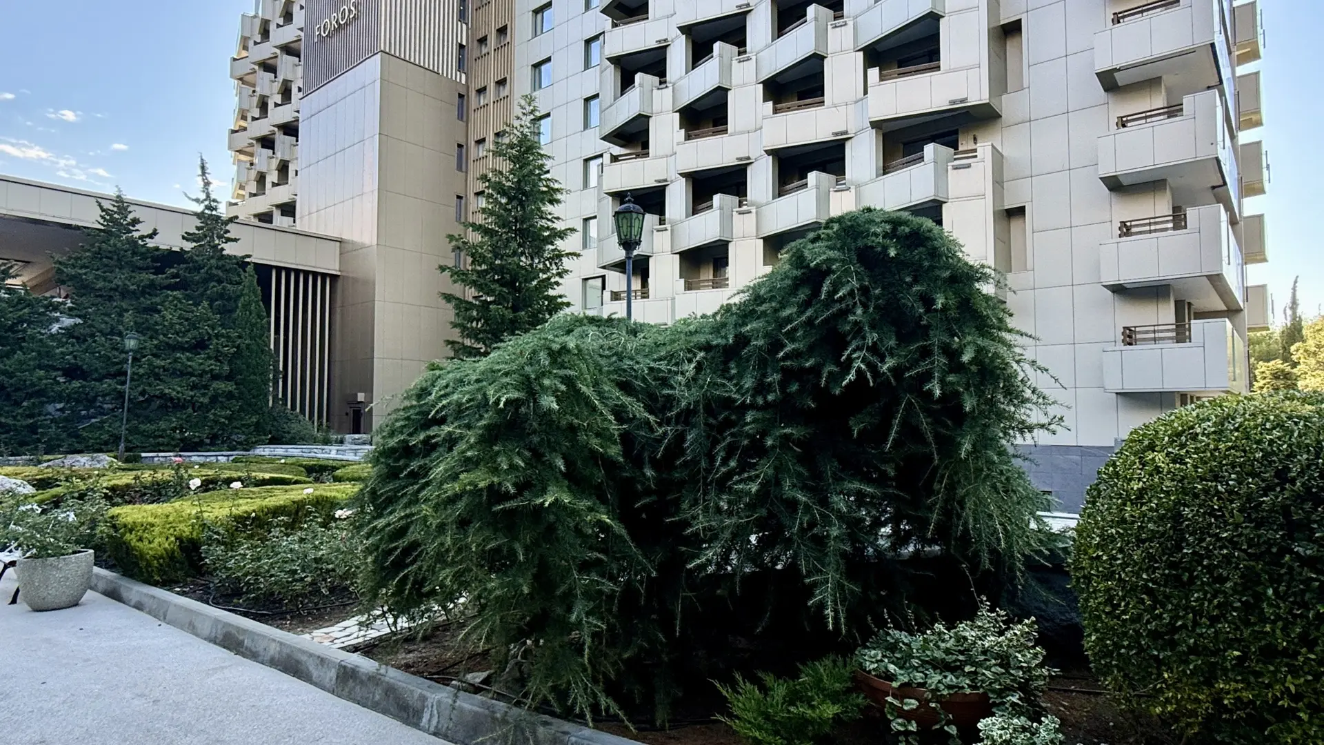 🌿🌙 Всем привет из Понизовки!