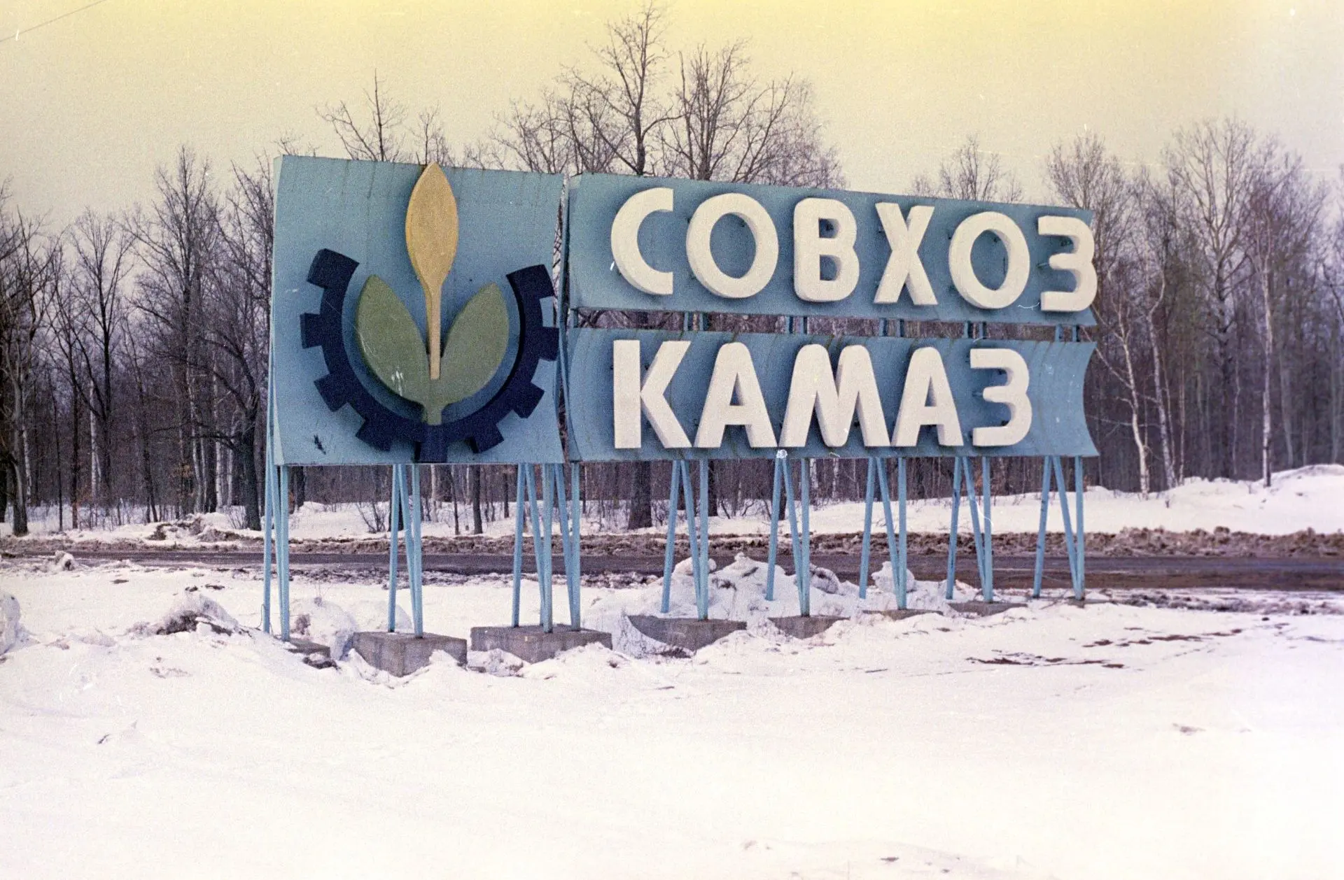 ♦Сегодня отмечается День работника сельского хозяйства и перерабатывающей промышленности.